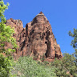 Meet your Posher, Coleen